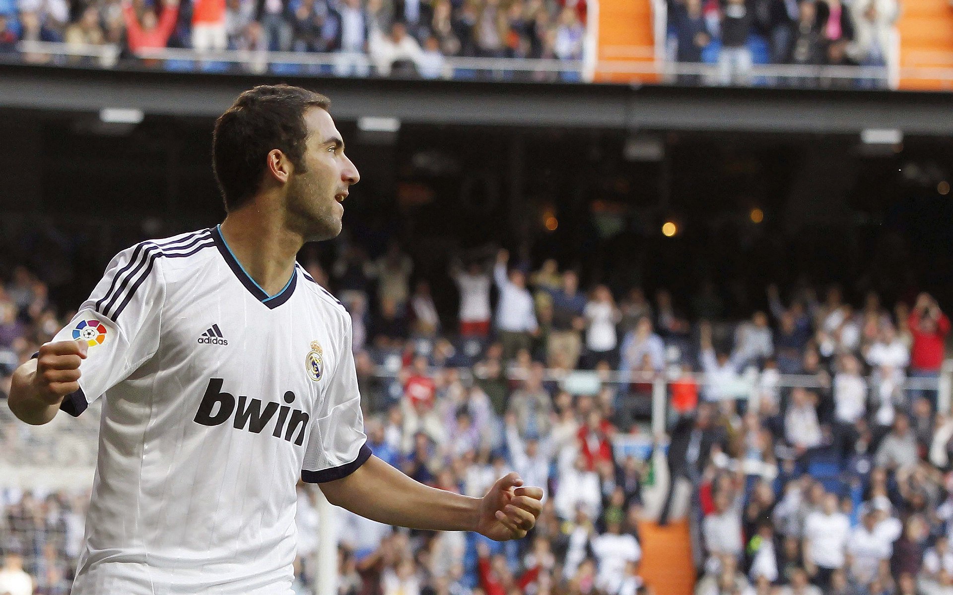 开云电竞服务-哥伦比亚骑手吉塔·日特科维奇荣获2024年最佳障碍赛骑手奖，表彰其卓越表现。